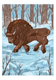 Новый год в Бресте: колдуны и зубры