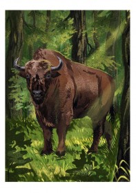 Беларусь: путь Магнатов (автобус 1)