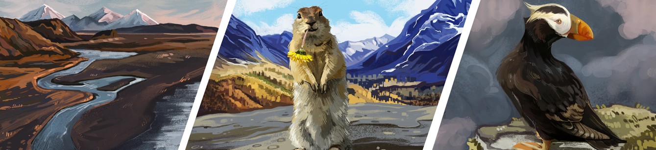 Камчатка: летний сезон